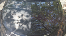 Load image into Gallery viewer, SELECT PAINTED SURFACE CARE- COMPOUND, POLISH, & SEALER (3 STEPS)