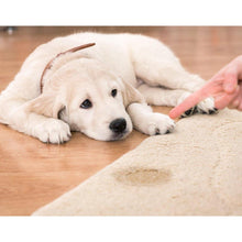 Load image into Gallery viewer, DR. FOAMY ENZYME CLEANER AEROSOL